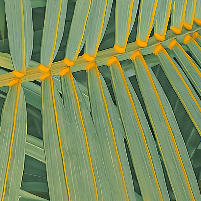 Digitaldruck Vlies Fototapete | Neon Fern | 200 x 250 cm