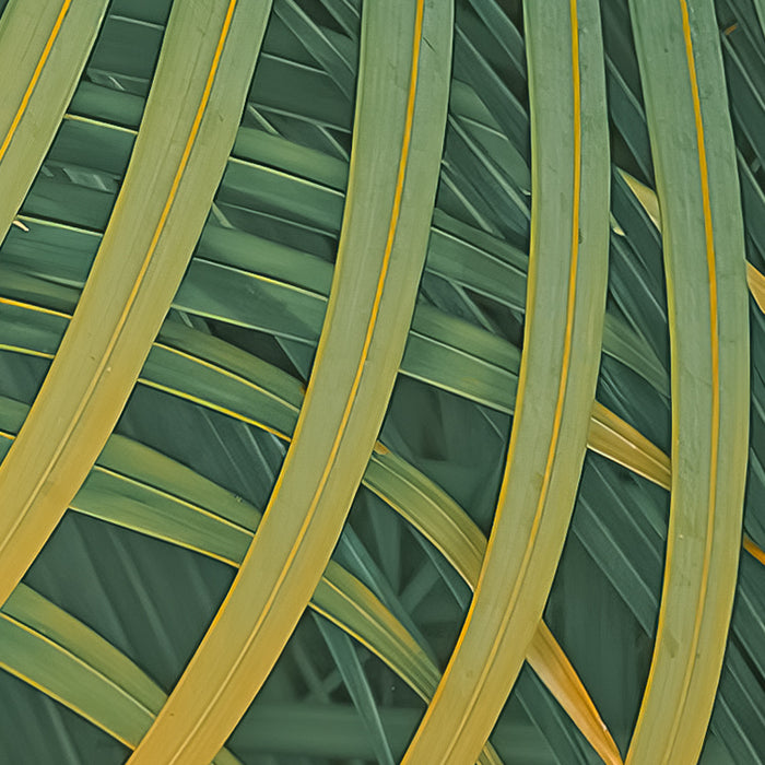 Digitaldruck Vlies Fototapete | Neon Fern | 200 x 250 cm