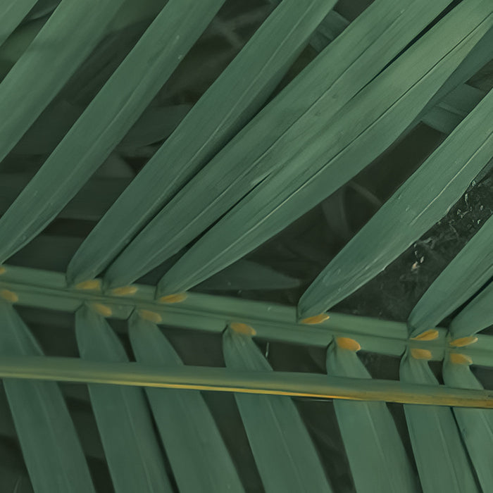 Digitaldruck Vlies Fototapete | Neon Fern | 200 x 250 cm