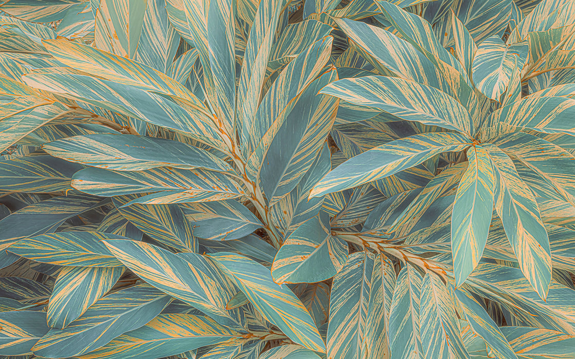 Komar NEU | Digitaldruck Vlies Fototapete - Amazonia Vibes - Größe 400 x 250 cm