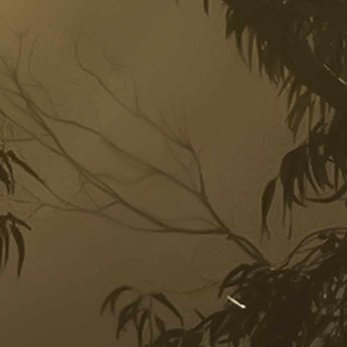 Komar NEU | Digitaldruck Vlies Fototapete - Foggy Sunshine - Größe 400 x 250 cm