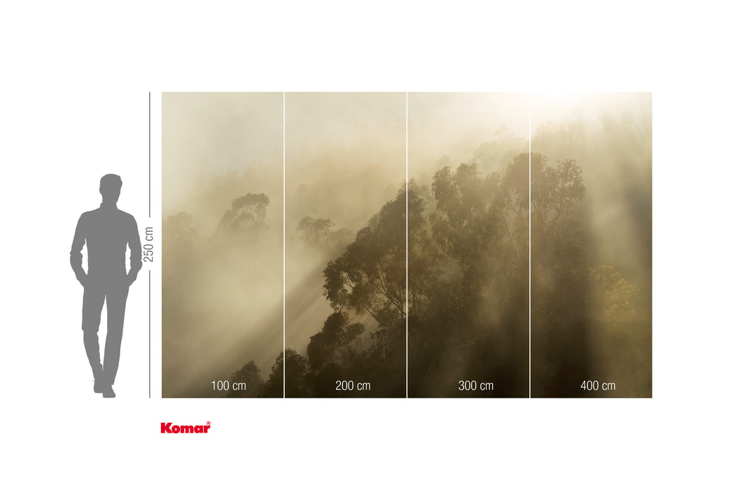 Komar NEU | Digitaldruck Vlies Fototapete - Foggy Sunshine - Größe 400 x 250 cm