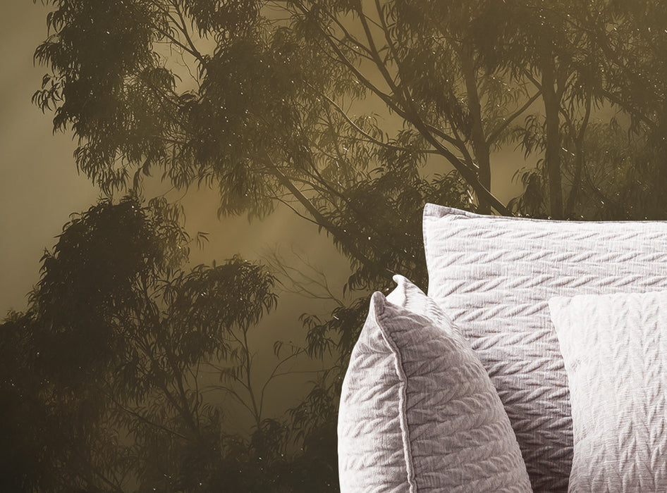 Komar NEU | Digitaldruck Vlies Fototapete - Foggy Sunshine - Größe 400 x 250 cm