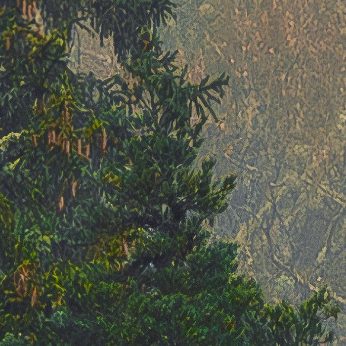 Komar NEU | Digitaldruck Vlies Fototapete - Mystical Firs - Größe 400 x 250 cm