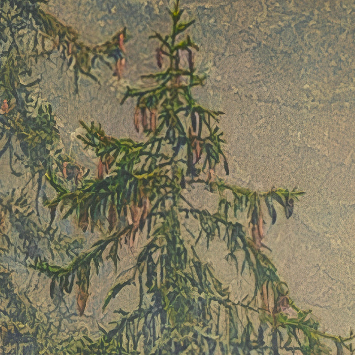 Komar NEU | Digitaldruck Vlies Fototapete - Mystical Firs - Größe 400 x 250 cm