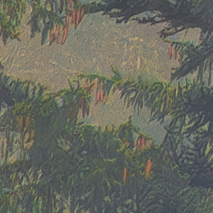 Komar NEU | Digitaldruck Vlies Fototapete - Mystical Firs - Größe 400 x 250 cm