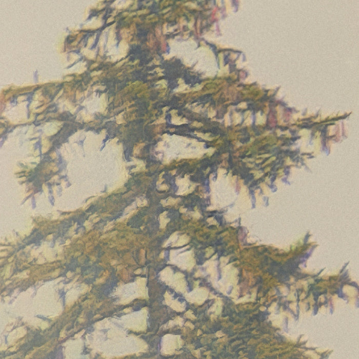 Komar NEU | Digitaldruck Vlies Fototapete - Mystical Firs - Größe 400 x 250 cm