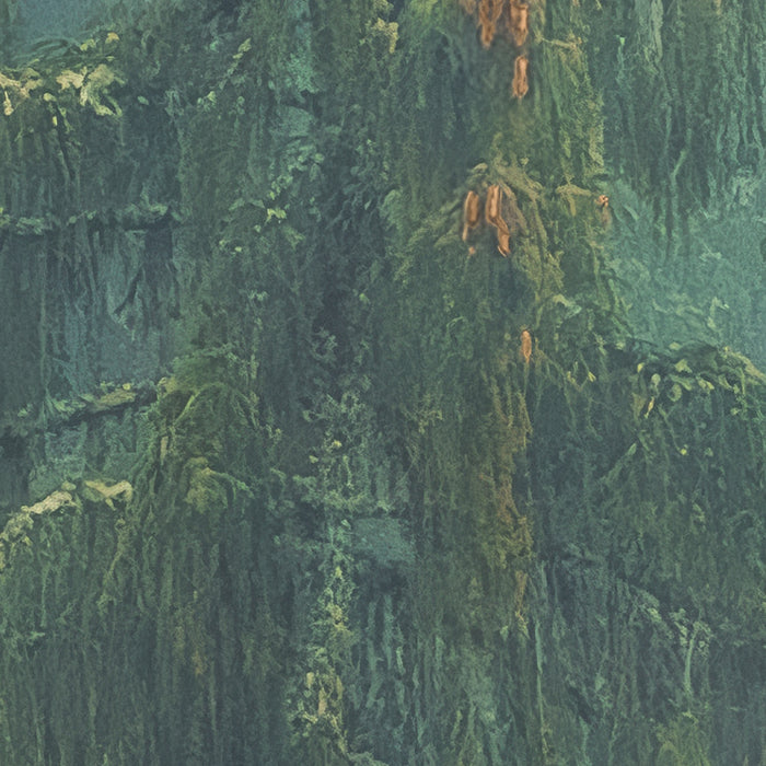 Komar NEU | Digitaldruck Vlies Fototapete - Foggy Firs - Größe 400 x 250 cm