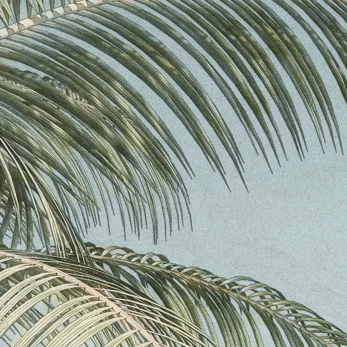 Digitaldruck Vlies Fototapete | Palm Oasis | 200 x 280 cm