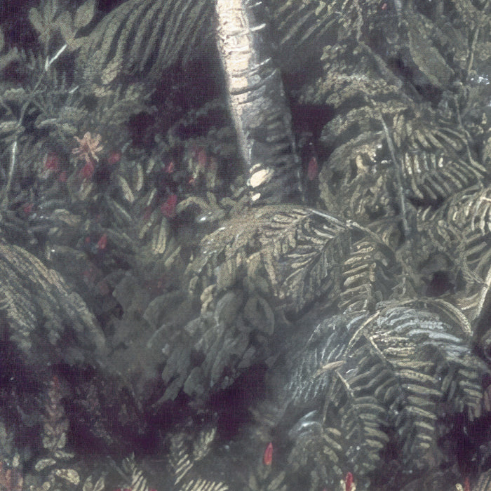 Digitaldruck Vlies Fototapete | The Exotic Land | 200 x 280 cm