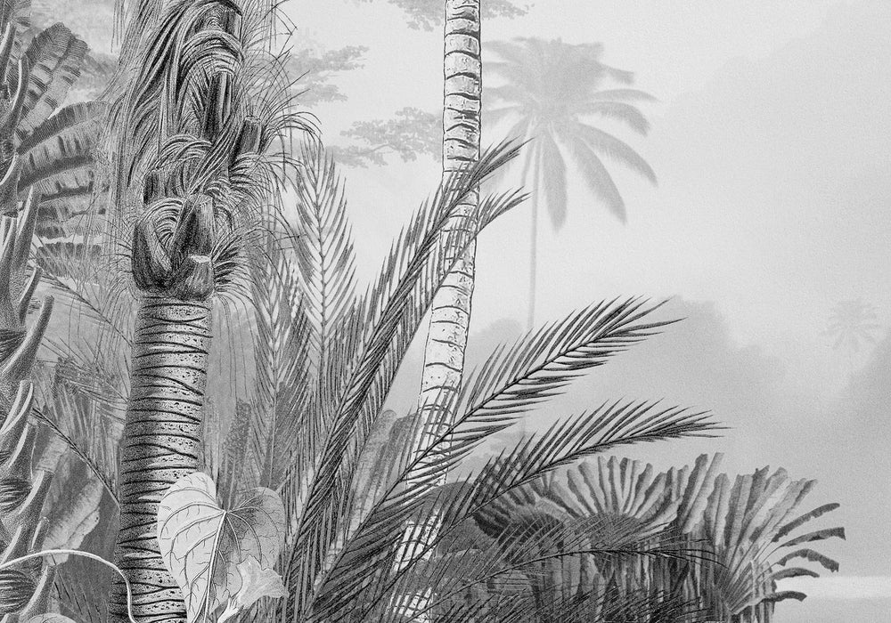 Digitaldruck Vlies Fototapete | Lac Tropical Black & White | 200 x 270 cm