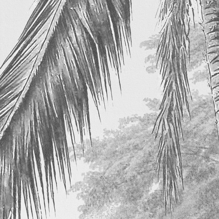 Digitaldruck Vlies Fototapete | Lac Tropical Black & White | 200 x 270 cm