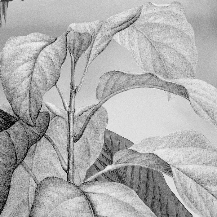 Digitaldruck Vlies Fototapete | Lac Tropical Black & White | 200 x 270 cm