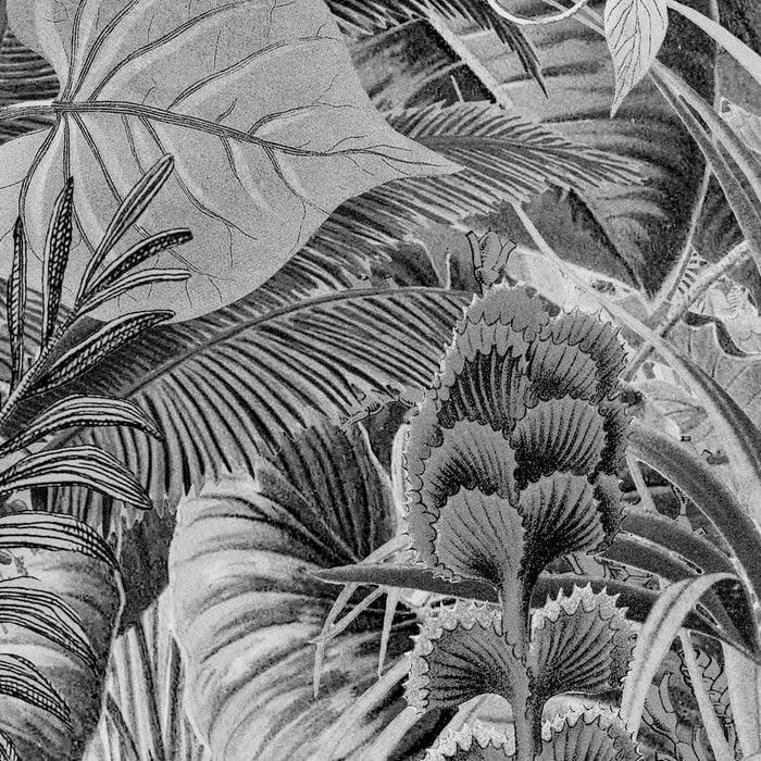 Digitaldruck Vlies Fototapete | Lac Tropical Black & White | 200 x 270 cm