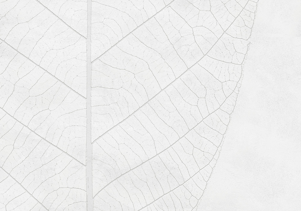 Digitaldruck Vlies Fototapete | Decent Leaf | 200 x 280 cm