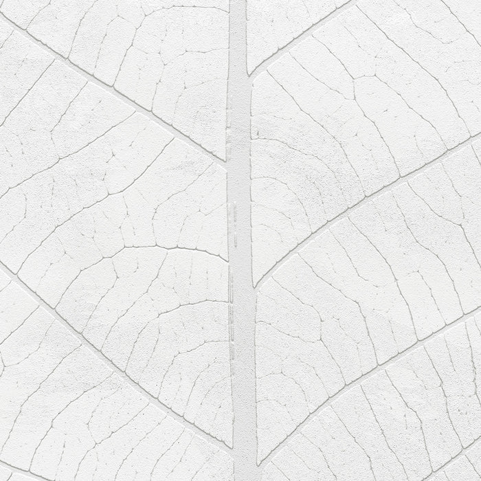 Digitaldruck Vlies Fototapete | Decent Leaf | 200 x 280 cm