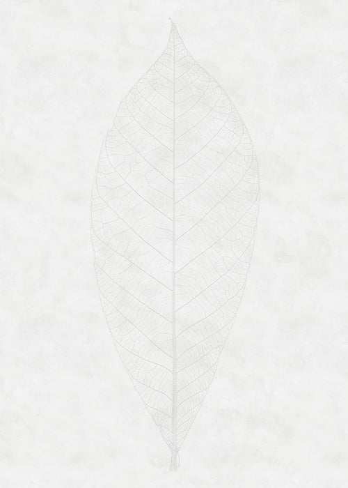 Digitaldruck Vlies Fototapete | Decent Leaf | 200 x 280 cm