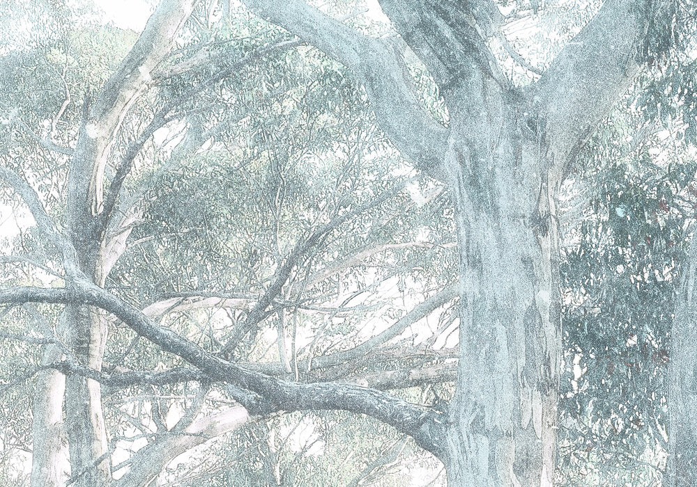 Digitaldruck Vlies Fototapete | Magic Trees | 300 x 280 cm