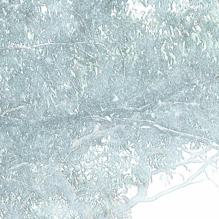 Digitaldruck Vlies Fototapete | Magic Trees | 300 x 280 cm