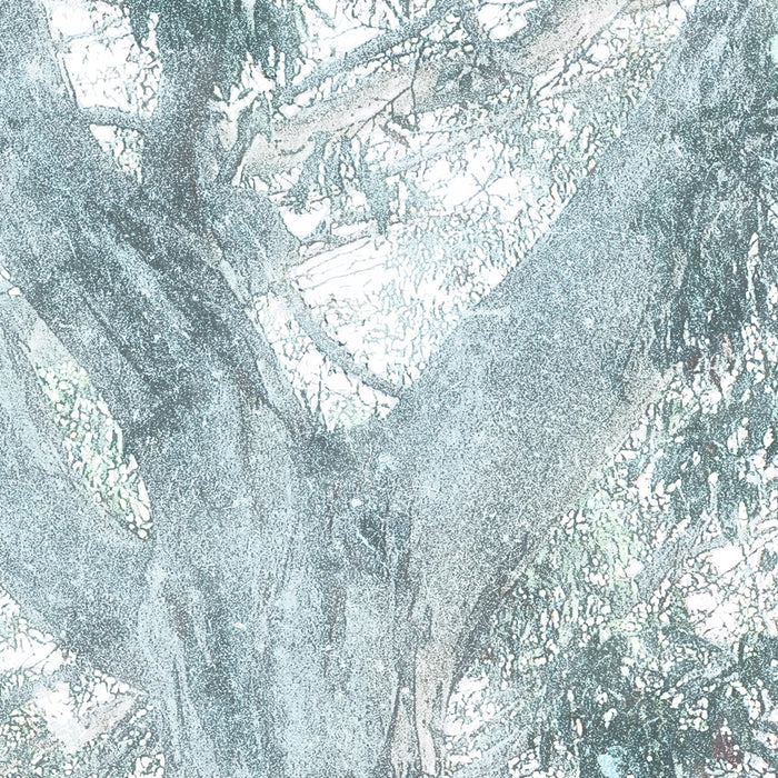 Digitaldruck Vlies Fototapete | Magic Trees | 300 x 280 cm