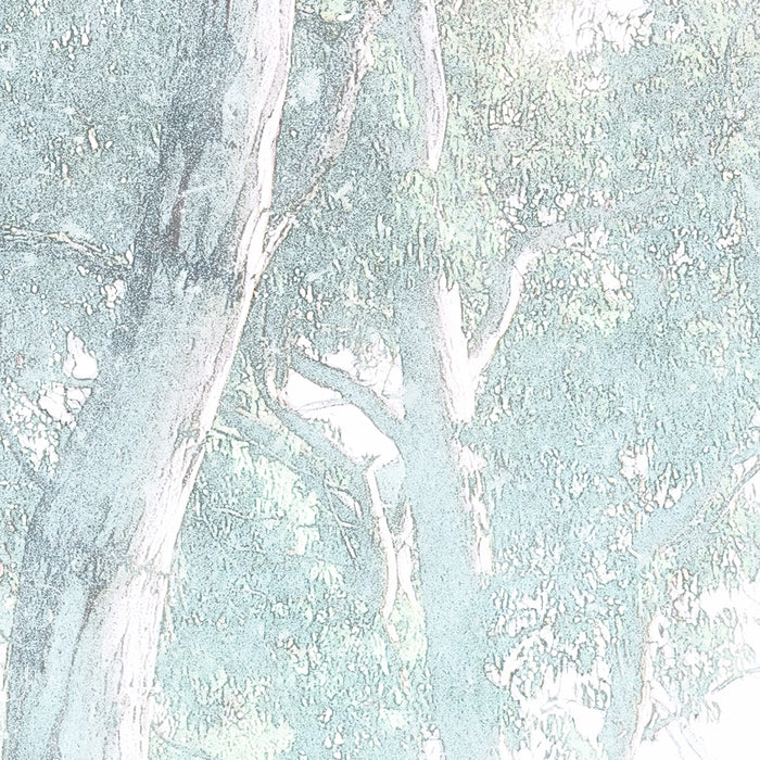 Digitaldruck Vlies Fototapete | Magic Trees | 300 x 280 cm