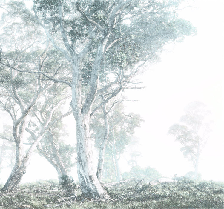 Digitaldruck Vlies Fototapete | Magic Trees | 300 x 280 cm