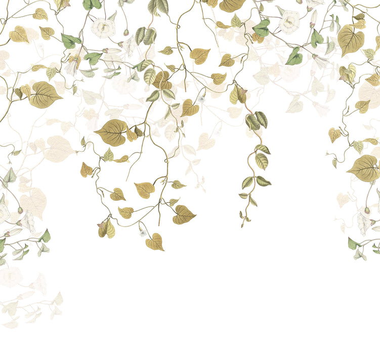 Digitaldruck Vlies Fototapete | Hedera | 300 x 280 cm