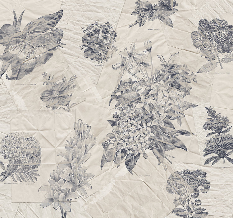 Digitaldruck Vlies Fototapete | Botanical Papers