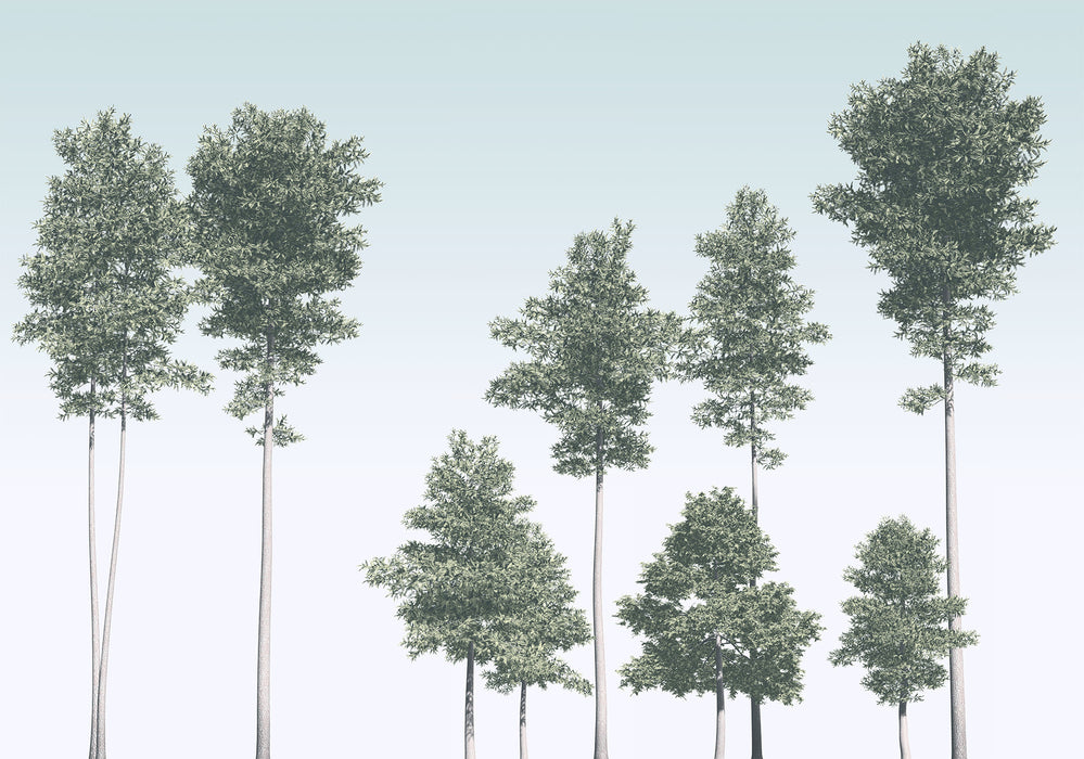 Digitaldruck Vlies Fototapete | Pines | 400 x 280 cm