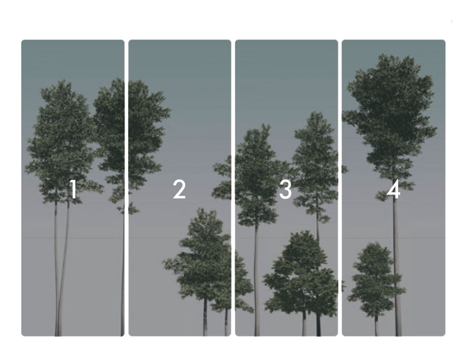 Digitaldruck Vlies Fototapete | Pines | 400 x 280 cm