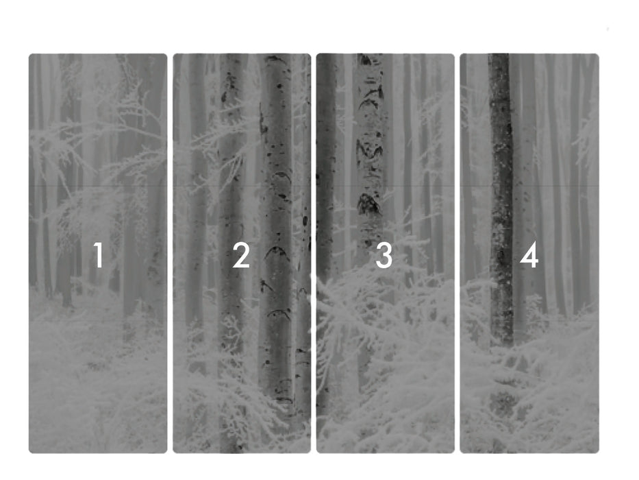 Digitaldruck Vlies Fototapete | Winter Wood | 400 x 280 cm