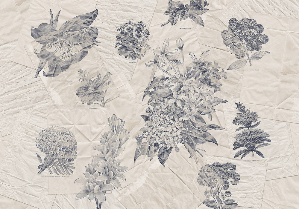 Digitaldruck Vlies Fototapete | Botanical Papers