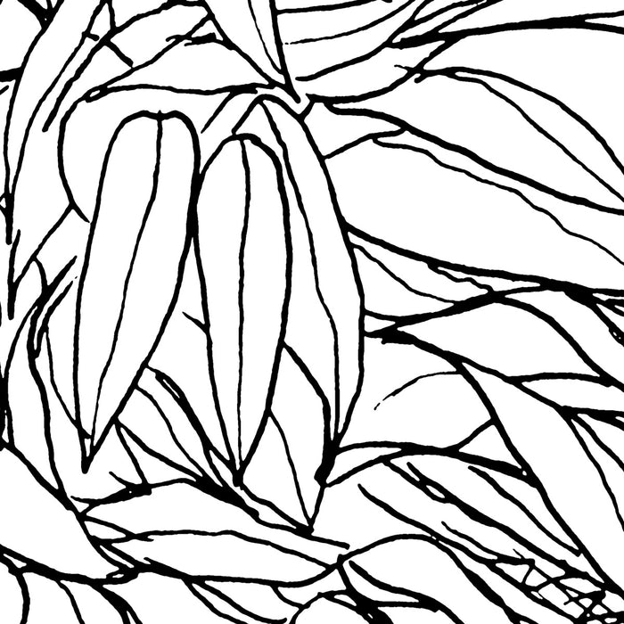 Digitaldruck Vlies Fototapete | Blanca | 400 x 280 cm