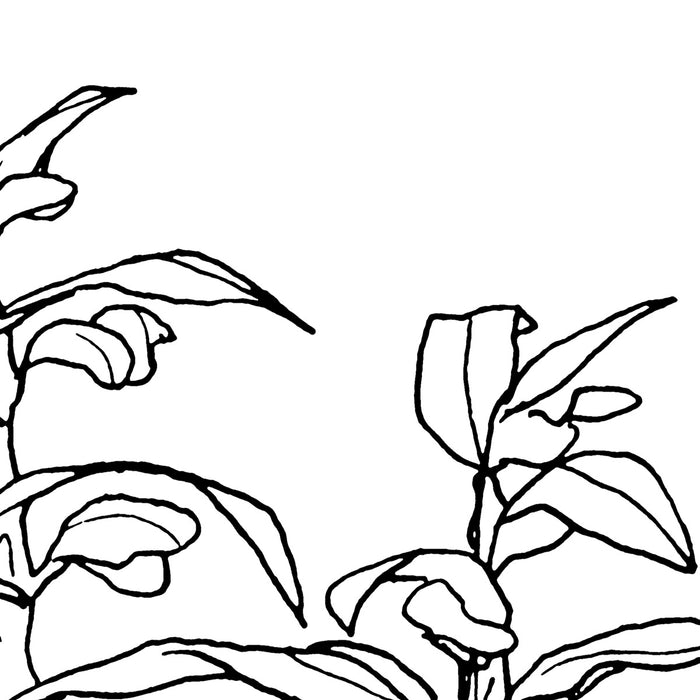 Digitaldruck Vlies Fototapete | Blanca | 400 x 280 cm