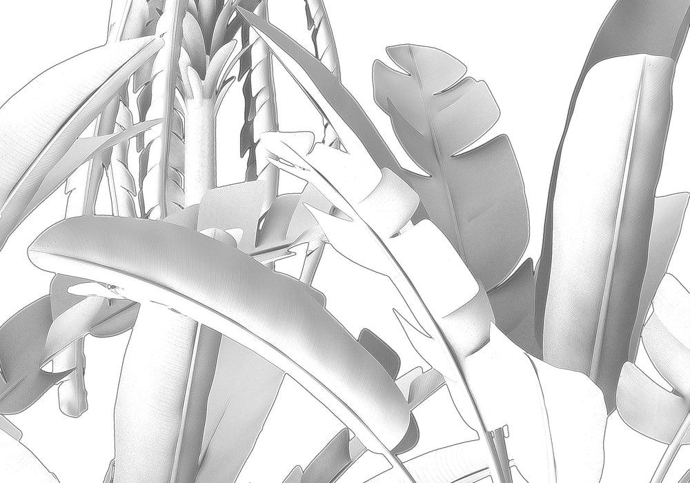 Digitaldruck Vlies Fototapete | Musa | 400 x 280 cm