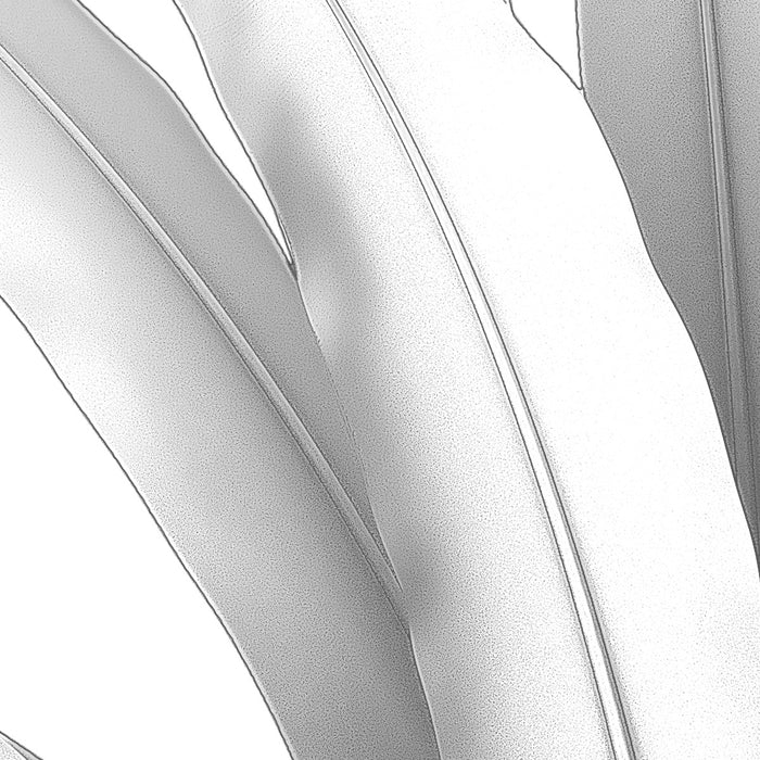 Digitaldruck Vlies Fototapete | Musa | 400 x 280 cm