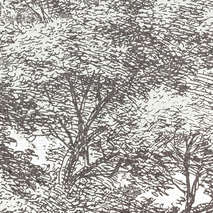 Digitaldruck Vlies Fototapete | Fairytale Forest | 400 x 280 cm