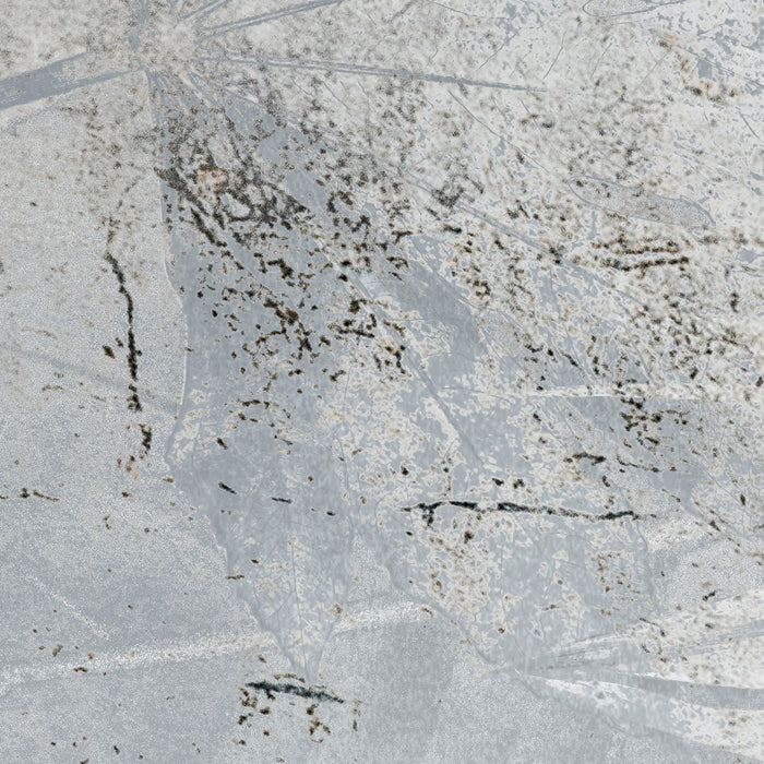 Digitaldruck Vlies Fototapete | Flower Fossil | 200 x 280 cm