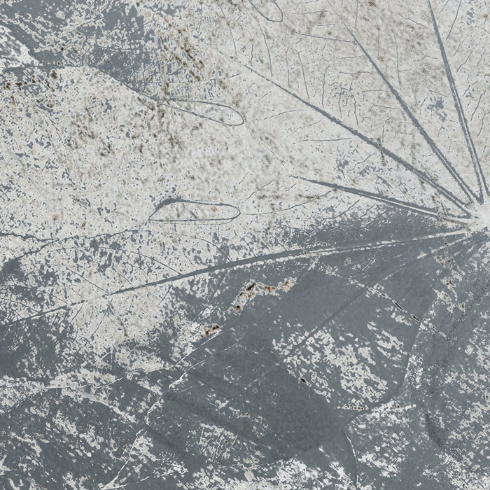 Digitaldruck Vlies Fototapete | Flower Fossil | 200 x 280 cm