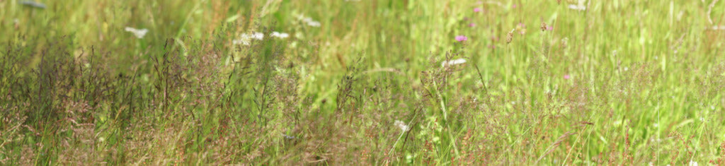 Naber | PICit® 7, Nischenrückwand, Aluminium, 16 mm, glänzend