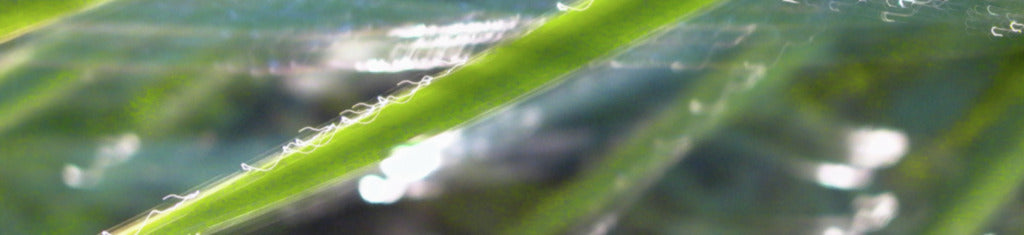 Naber | PICit® 14, Nischenrückwand, Aluminium, 3,5 mm, glänzend