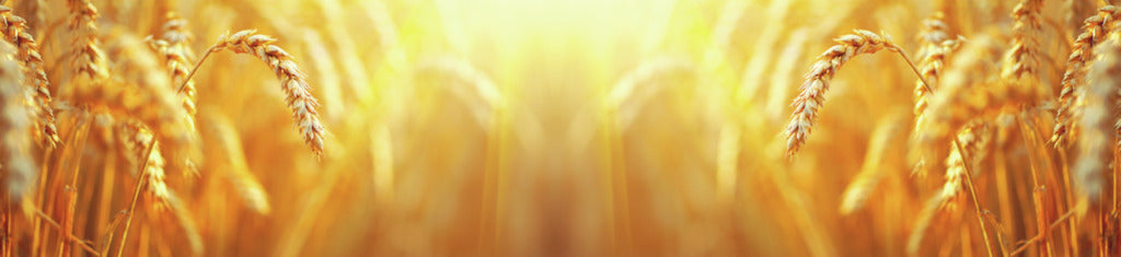 Naber | PICit® 110, Nischenrückwand, Acryl, 16 mm, glänzend