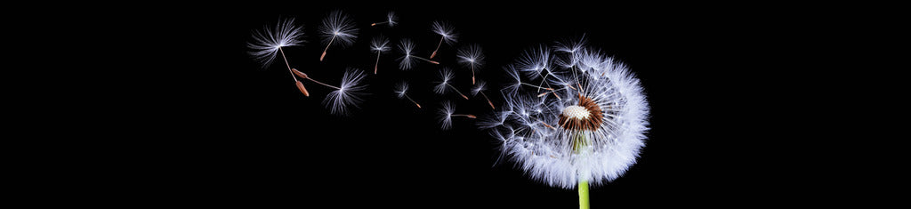 Naber | PICit® 123, Nischenrückwand, Aluminium, 16 mm, glänzend