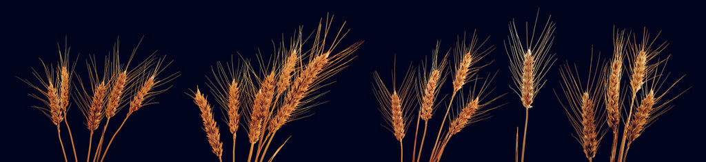 Naber | PICit® 139, Nischenrückwand, Acryl, 3,5 mm, glänzend