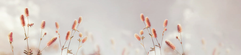 Naber | PICit® 144, Nischenrückwand, Acryl, 16 mm, glänzend