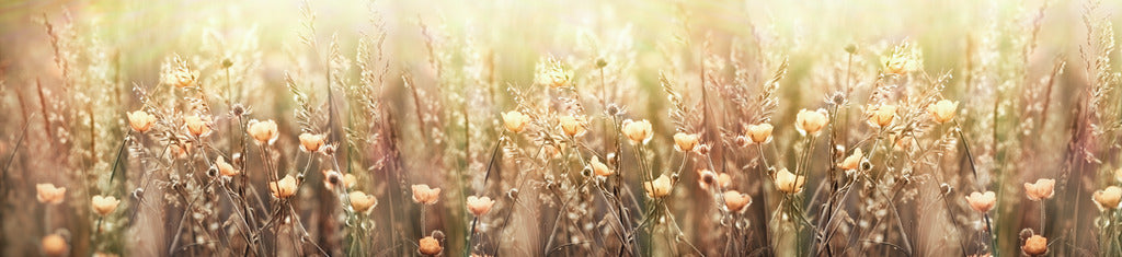 Naber | PICit® 145, Nischenrückwand, Acryl, 16 mm, glänzend