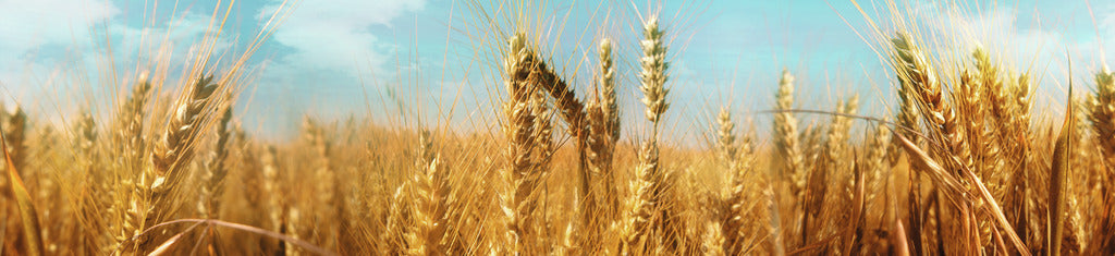 Naber | PICit® 146, Nischenrückwand, Aluminium, 16 mm, glänzend