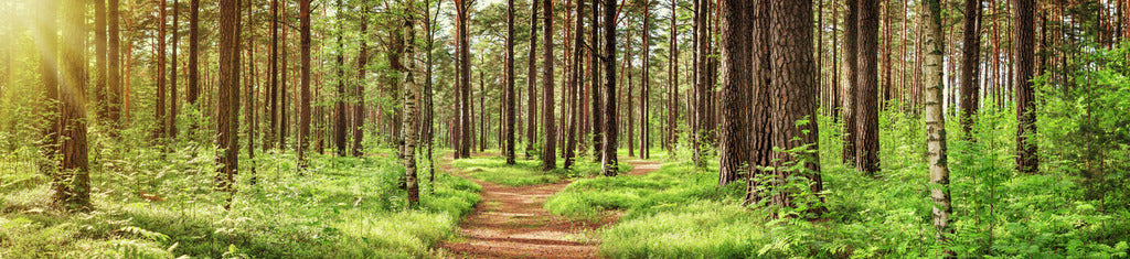 Naber | PICit® 148, Nischenrückwand, Aluminium, 3,5 mm, glänzend