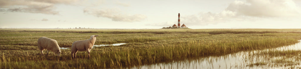 Naber | PICit® 155, Nischenrückwand, Aluminium, 16 mm, matt