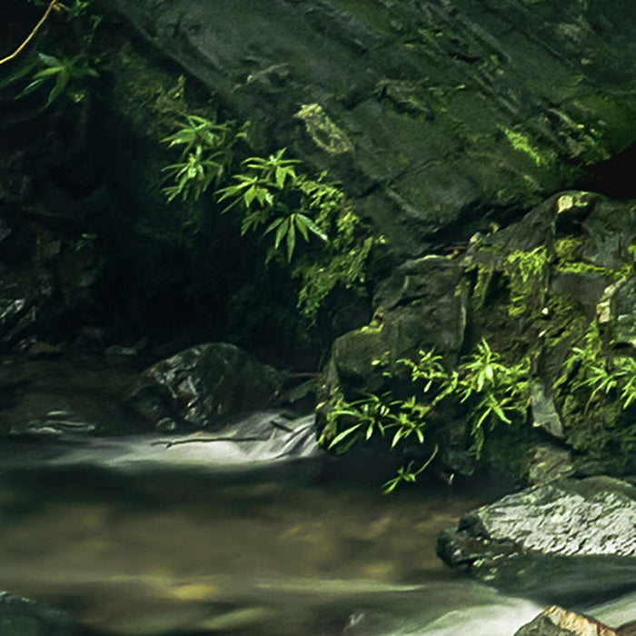 Digitaldruck Vlies Fototapete | My Hidden Treasure | 400 x 250 cm
